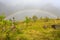 Gazing at a Lofoten Rainbow