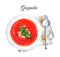 Gazpacho cold soup illustration