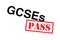 GCSEs Pass