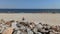 Gdansk - North Poland: Pan shot of people doing leisure activities by the baltic sea at Westerplatte which is a peninsula in GdaÅ„