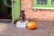 Gdansk, Poland - November 19, 2017:Orange pumpkin near a decorative statuette