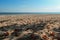 Gdynia - An idyllic view on an empty beach in Gdynia, Poland, with calm Baltic Sea in the back. There are colorful tree leaves