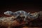 Gecko perched on a tree branch in a dark forest, illuminated by the moonlight