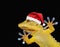 Gecko with santa claus hat that greets everyone