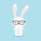 Geek Bunny. Nerd Rabbit.