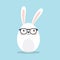 Geek Bunny. Nerd Rabbit.