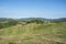 Geen valley with a sky. Landscape in the summer