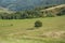 Geen valley with a sky. Landscape in the summer