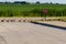 Geese crossing the street in single file