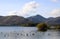 Geese Derwent Water and mountains Lake District UK