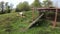 Geese family on farmyard 1