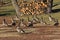 Geese flocking near a woodpile