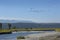 Geese flying over Buffalo Fork River, northern Jackson Hole, Wyo