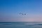 Geese Flying Over Lake Michigan Waves in Wintry Chicago