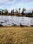 Geese at Holliday park on an Autumn day in Cheyenne, Wyoming.