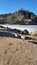 Geese Lake side at Crystal Curt Gowdy State Park Cheyenne Wyoming