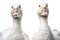 Geese photo realistic illustration - Generative AI.