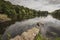 Geese resting at lake at Nostell Priory