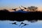 Geese and Riparian Reflection