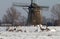 Geese and swans at the mill