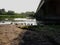 Geese swim near the river Bank under the bridge