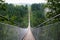 Geierlay suspension bridge