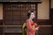 Geisha or maiko in a kimono walking in front of the gate of a traditional