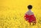 Geisha in the yellow field