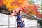 Geishas girl wearing Japanese kimono among red wooden Tori Gate at Fushimi Inari Shrine in Kyoto, Kimono is a Japanese traditional