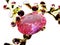 Gem crystal ruby diamond jewel luxury fashion