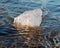 Gem grade rough Rose Quartz chunk from Madagascar lying on wet sand in front of the lake