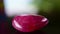 Gem and jewelry red ruby large lump that is rare, expensive