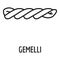 Gemelli icon, outline style