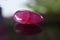 Gems and jewelry as Large rare ruby â€‹â€‹gemstones that are expensive
