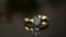 Gems and jewelry are Gold ring Sparkling diamonds It is a luxurious