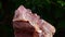 gems and jewelry Lumpy Natural pink amethyst, beautiful On a natural background