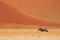 Gemsbok in the african desert with red sand dunes namibia