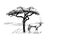 Gemsbok antelope Oryx gazella near a tree in africa. Hand drawn illustration