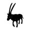Gemsbok antelope stylized vector illustration icon