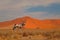 Gemsbok with orange sand dune evening sunset. Gemsbuck, Oryx gazella, large antelope in nature habitat, Sossusvlei, Namibia. Wild