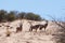 Gemsbok, Oryx gazella on sand dune