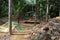 Gemstone mining workers in Sapphire mine, Sri Lanka