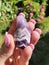 Gemstone Polished Amethist Amethyst Quartz Stone Gems Palmstone Garden Rose Gras Sky