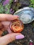 Gemstone Polished Stone Carneol Carneool CHAKRA Gems Palmstone Garden Rose Gras Sky