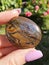 Gemstone Polished Tiger Tigereye Iron Stone Gems Palmstone Garden Rose Gras Sky