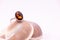 Gemstone ring gift concept. Close-up of Cinnamon stone ring on seashell with white background