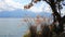 Genave Lake Landscapes And Hazy