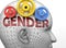 Gender and human mind - pictured as word Gender inside a head to symbolize relation between Gender and the human psyche, 3d