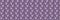 Gender neutral purple foliage leaf seamless raster border. Simple whimsical 2 tone pattern. Kids nursery wallpaper or