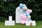 Gender Reveal Party Decorations Outdoor Setup